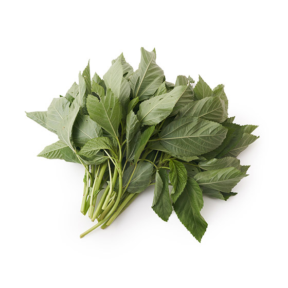 市面上較少見 埃及帝王菜 100g(熊本縣産)