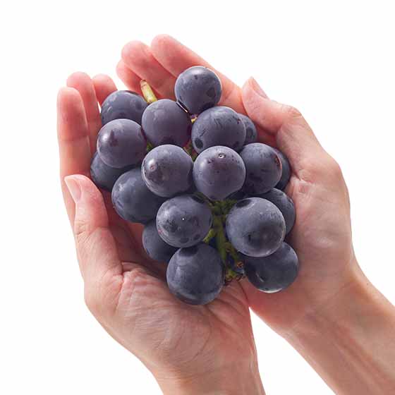 無核巨峰葡萄(佐賀縣産)