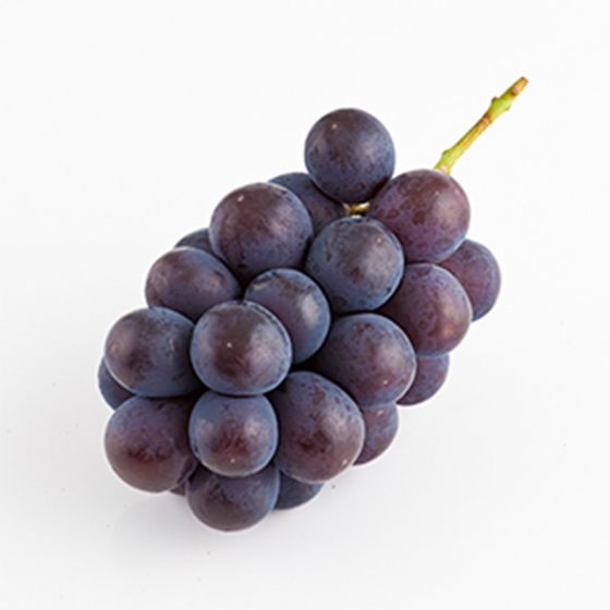 黑葡萄之王 Peony葡萄(長野縣產)