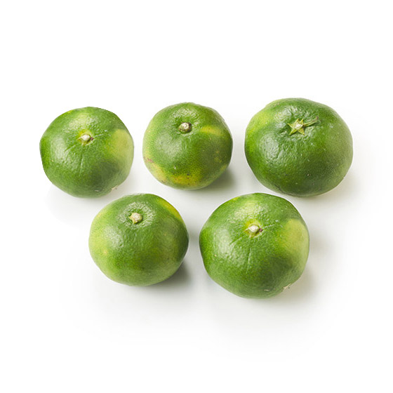 清爽酸香 極早生蜜柑(佐賀縣產)