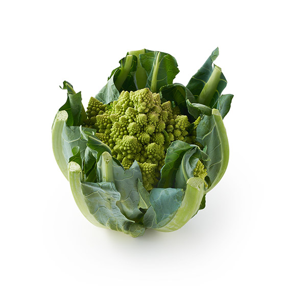 外形獨特香港較少見 寶塔花菜 1個(新潟縣産)