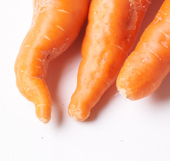 達也甜芯紅蘿蔔 (熊本縣產)
