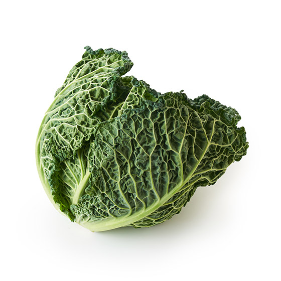 燉煮後水潤多汁 迷你皺葉椰菜 1個(埼玉縣産)