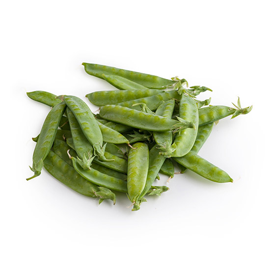 裝飾時色彩鮮艷 絹莢豌豆 (鹿兒島縣產)