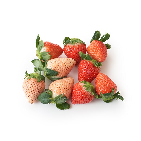 於日本勁好意頭！紅白士多啤梨(淡雪・佐賀穂香佐賀縣産)