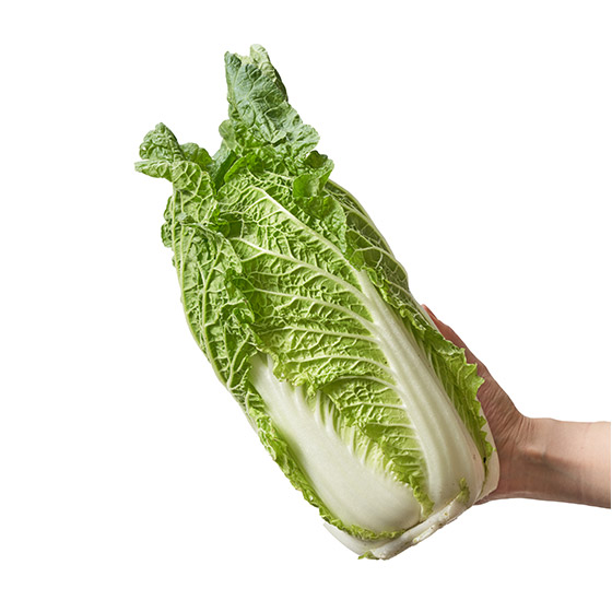 份量岩岩好！Baby白菜(熊本縣産)