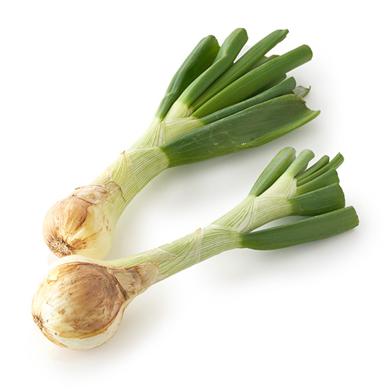 市面上少見！美味加倍連葉洋蔥(熊本縣産)