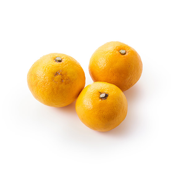 甘甜中帶有清爽酸味　春妃柑（静岡縣）