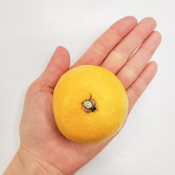 甘甜中帶有清爽酸味　春妃柑（静岡縣）