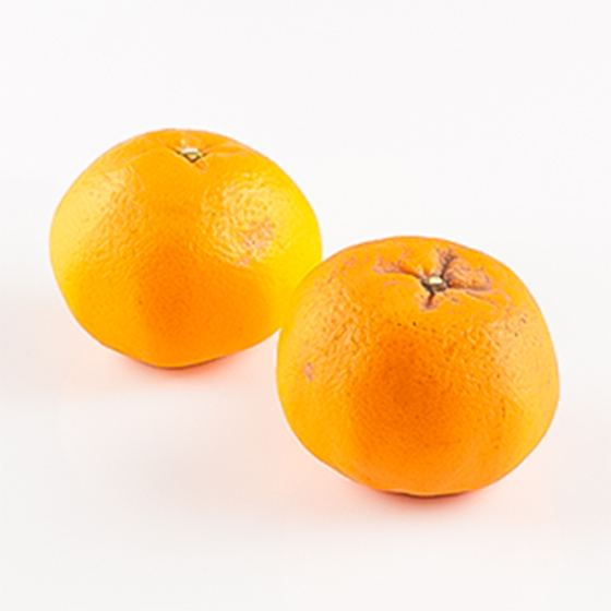 清爽甜味 晴見柑橘 (和歌山縣産)