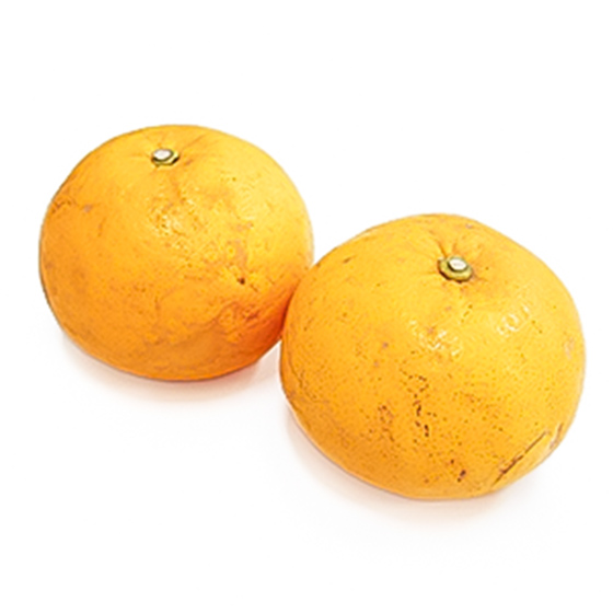 清爽口味 甘夏蜜柑 (鹿兒島縣産)