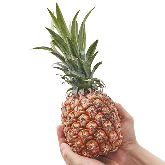 濃厚的香甜滋味 小顆香蜜菠蘿(台灣産)