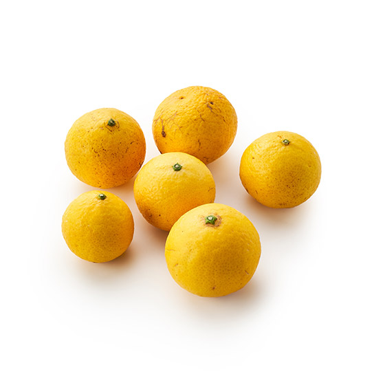 清新的酸味 小粒蜜柑 (熊本縣産)
