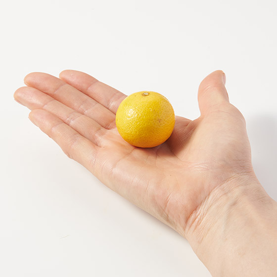 清新的酸味 小粒蜜柑 (熊本縣産)