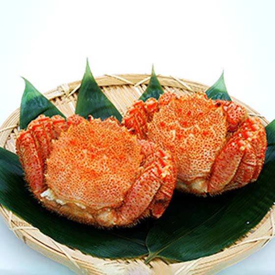 濃厚蟹膏 北海道極上級毛蟹　2隻　1150g