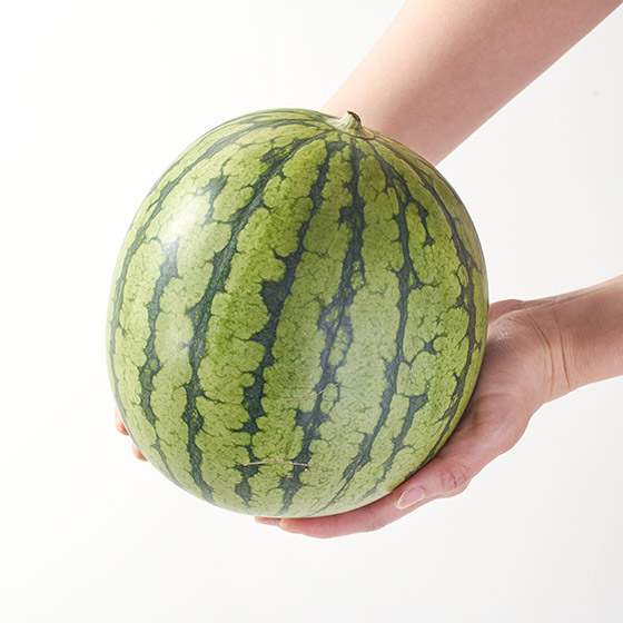 溢出的果汁讓人無法抗拒 小玉西瓜(新潟縣産)
