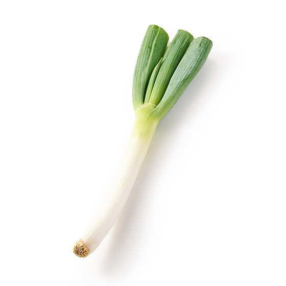 柔軟滿足的口感！甘甜長葱 1條(山形縣產)