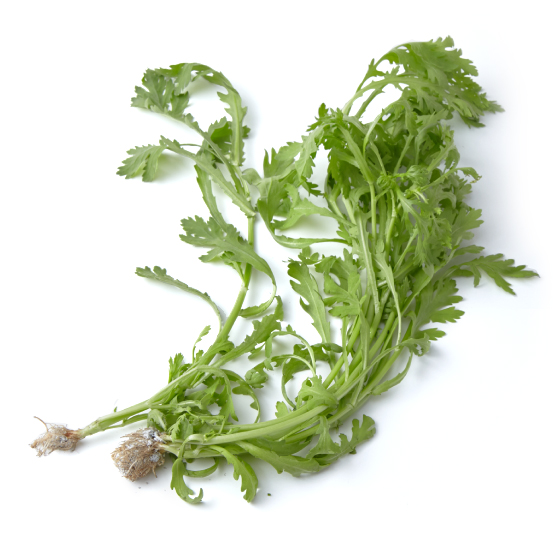 不苦澀易入口 沙律春菊(兵庫縣產)