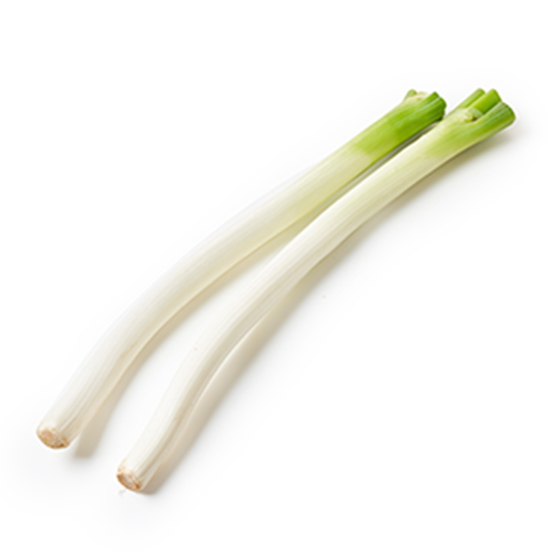 燜煮、小炒都好味 長葱 2-3條(秋田縣產)