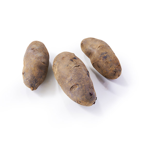 為料理增添色彩！紫色馬鈴薯 3-5個(新瀉縣產)