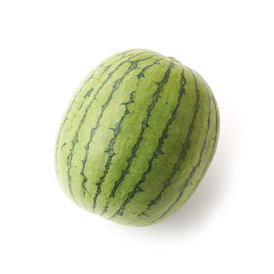 冬天同樣香甜！Pino Girl（小玉西瓜 熊本縣產）