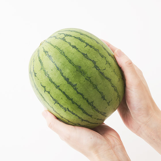 冬天同樣香甜！Pino Girl（小玉西瓜 熊本縣產）