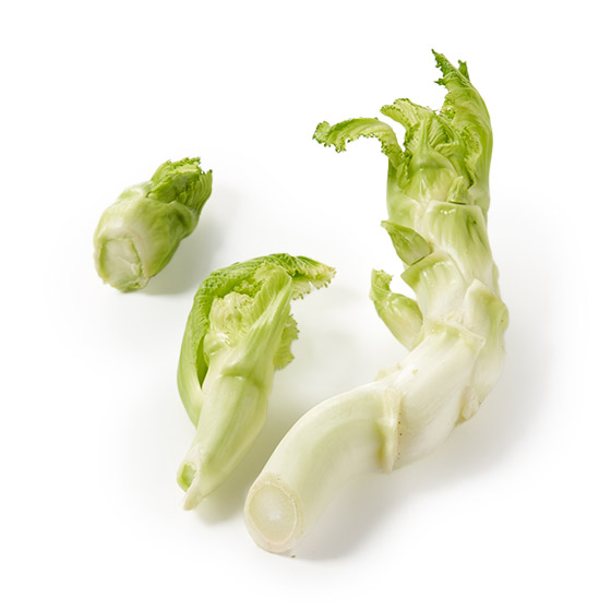 春天必備特色蔬菜！蕾菜(山形縣産)