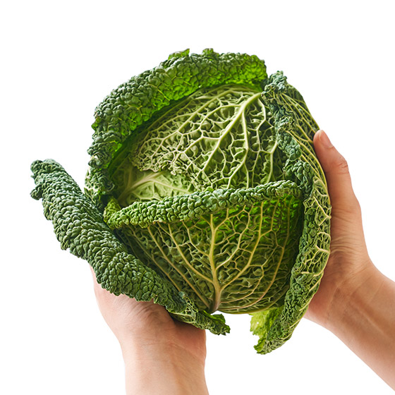 香炒味道更佳！皺葉椰菜 1個（兵庫縣產）