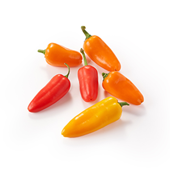 令菜式色彩繽紛 迷你小彩椒 100g（神奈川縣）