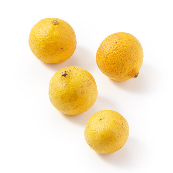 令人一吃停不了口的美味 黄金柑(熊本縣産)