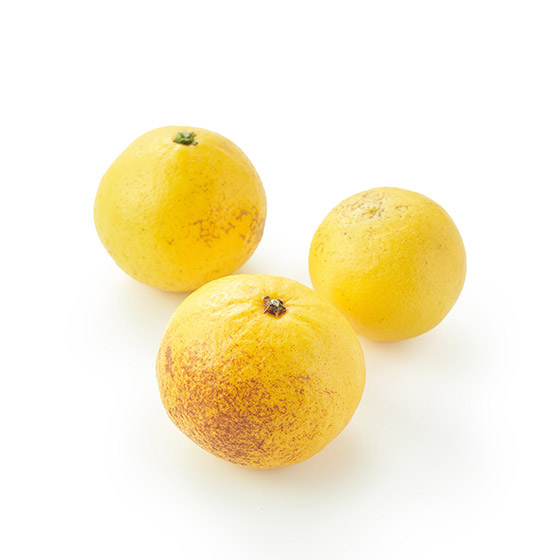 爽脆香甜的果肉！新夏香橙 (静岡縣產)