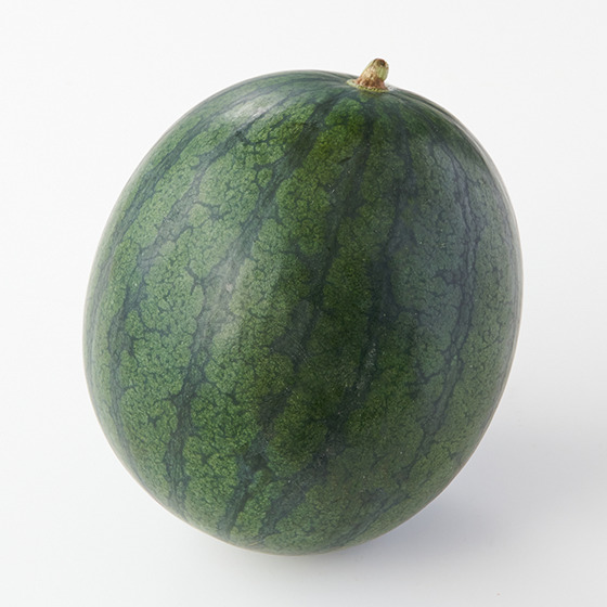 稀有品種！金色羅皇西瓜 （熊本縣產）