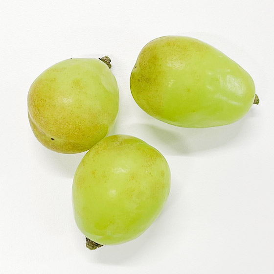 一次完食的份量！粒粒香印提子（島根縣產）