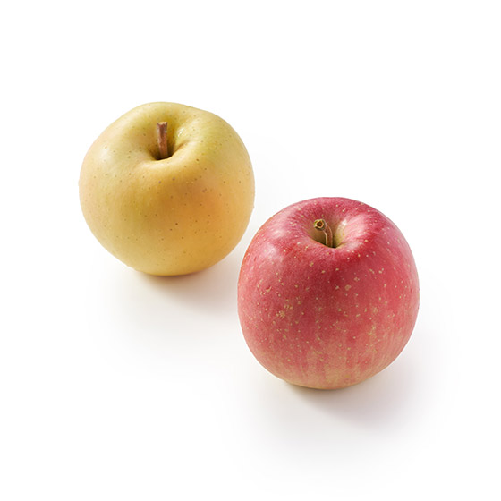 比較兩種不同口味 土岐蘋果 & 早生富士蘋果