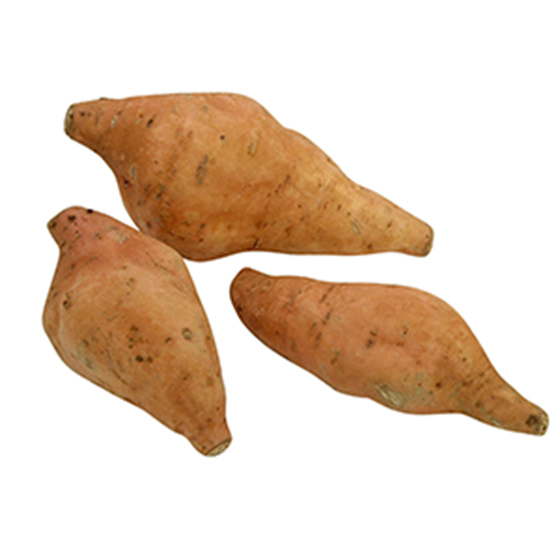 濕潤香甜！有機栽培 燈紅蕃薯 (鹿兒島縣産)