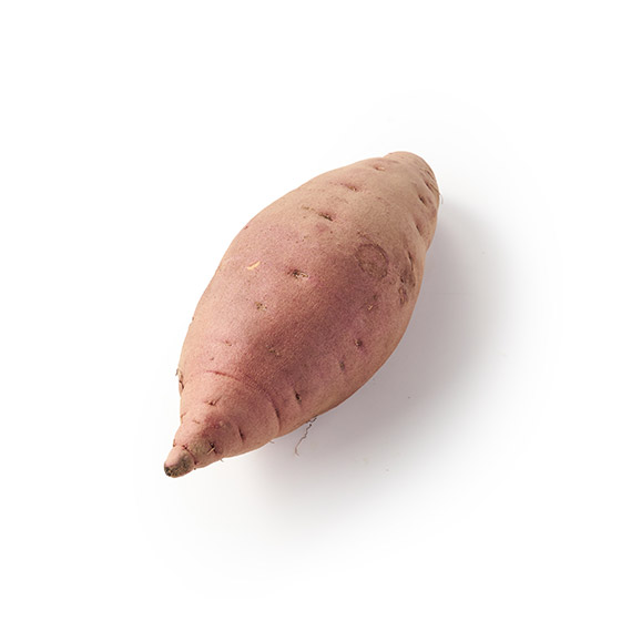 帶有栗子香氣！栗子蕃薯 (山形縣產)