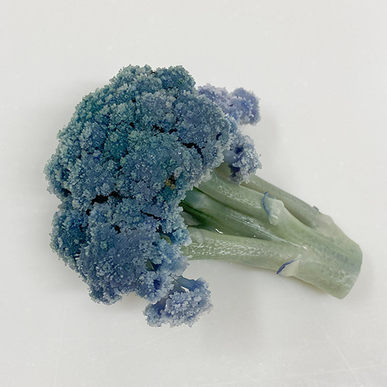 顏色鮮艷！雙色椰菜花 (山形縣產)