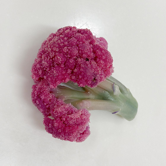 顏色鮮艷！雙色椰菜花 (山形縣產)