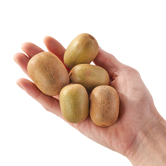 細細粒又甜蜜蜜 糖果奇異果(香川縣産)