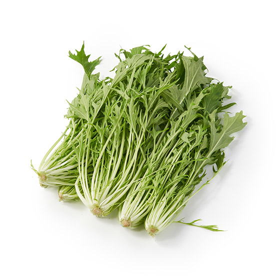 纖細水潤 京丹後的柔軟水菜 （京都府產）