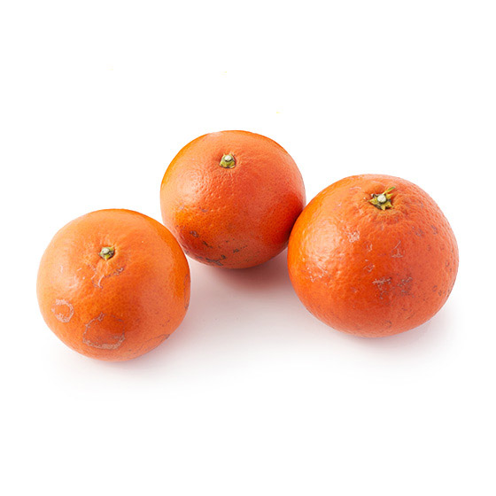 中田先生種植 紅橙蜜柑（熊本縣產）