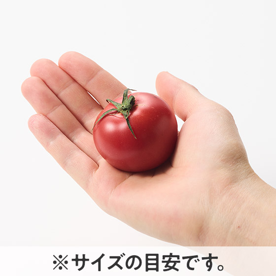 糖度8度以上！濃郁水果番茄 150g (德島縣產)