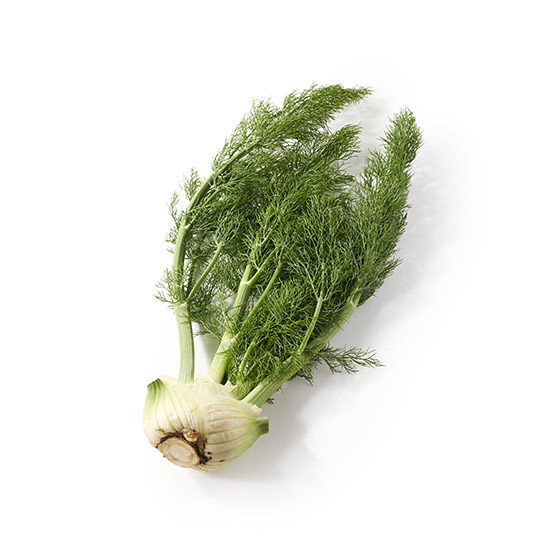 雙重享用！帶葉茴香頭 (兵庫縣產)