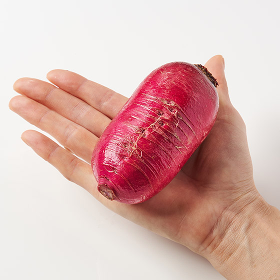 中心紫紅！有機栽培 紅色小圓蘿蔔 (長野縣產)