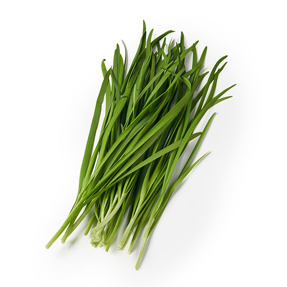 濃郁味道！肥後美味韭菜（熊本縣產）