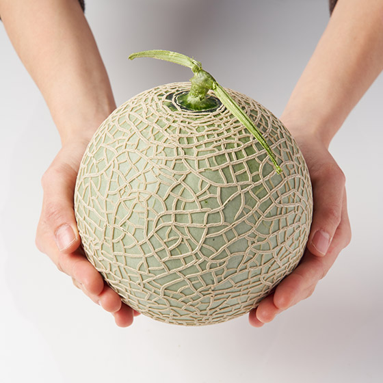 【禮盒裝】匠人心血 厚實阿爾斯蜜瓜（熊本縣產）