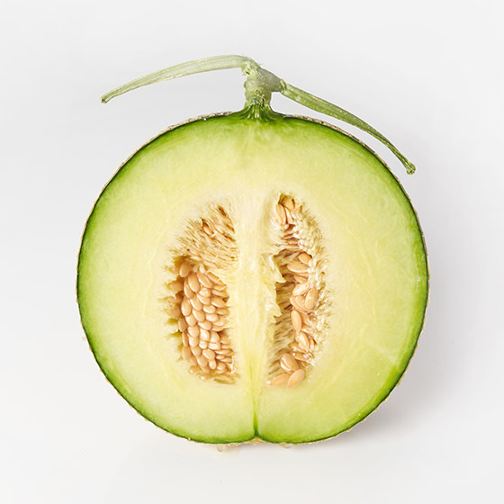 【禮盒裝】匠人心血 厚實阿爾斯蜜瓜（熊本縣產）