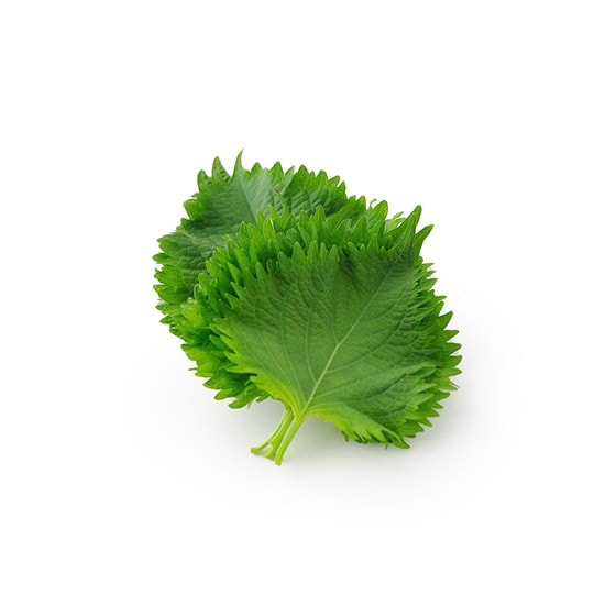 豐富香氣 紫蘇葉5片（愛知縣產）