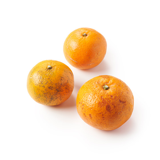 水潤濃郁！甜蜜多汁 津之輝蜜柑 (熊本縣產)