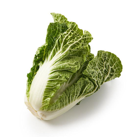 未施農藥白菜(埼玉縣產)